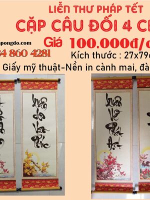 cap-cau-doi-tet-4-chu-thu-phap