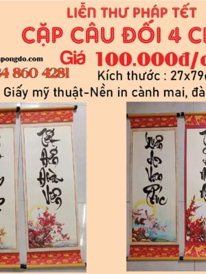 cap-cau-doi-tet-4-chu-thu-phap