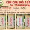 cap-cau-doi-chuc-tet