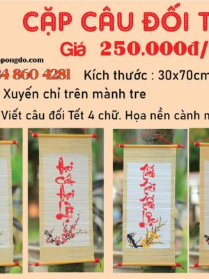 cap-cau-doi-chuc-tet