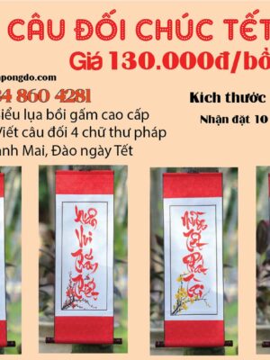 cau-doi-hay-ngay-tet