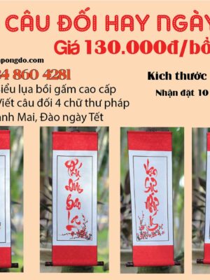 cau-doi-hay-ngay-tet