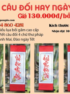 cau-doi-hay-ngay-tet