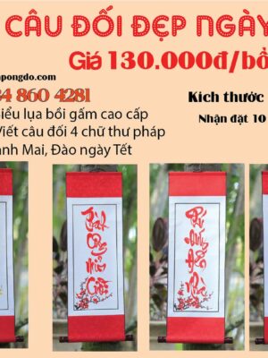 cau-doi-dep-ngay-tet