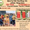 thue-ong-do-hcm