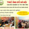 dich-vu-ong-do-ha-noi-chuyen-nghiep