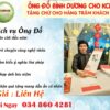 thue-ong-do-binh-duong
