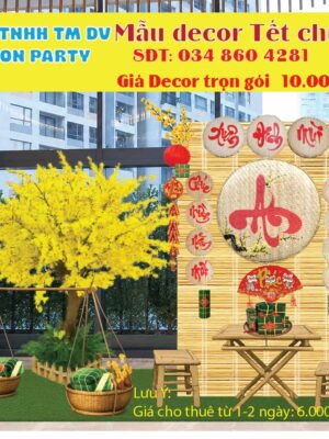gia-trang-tri-tieu-canh-tet
