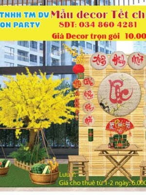 gia-trang-tri-tieu-canh-tet