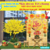 met-tre-trang-tri-tet-chu-loc-thu-phap-sanh-chung-cu