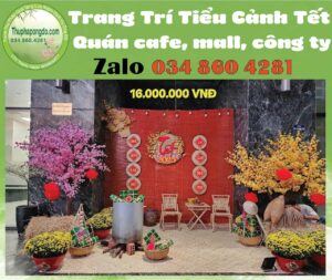 goc-decor-tet-an-tuong-cung-mai-dao
