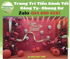 decor-tieu-canh-tet-xua-cho-truong-hoc